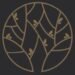 Enowa Skincare